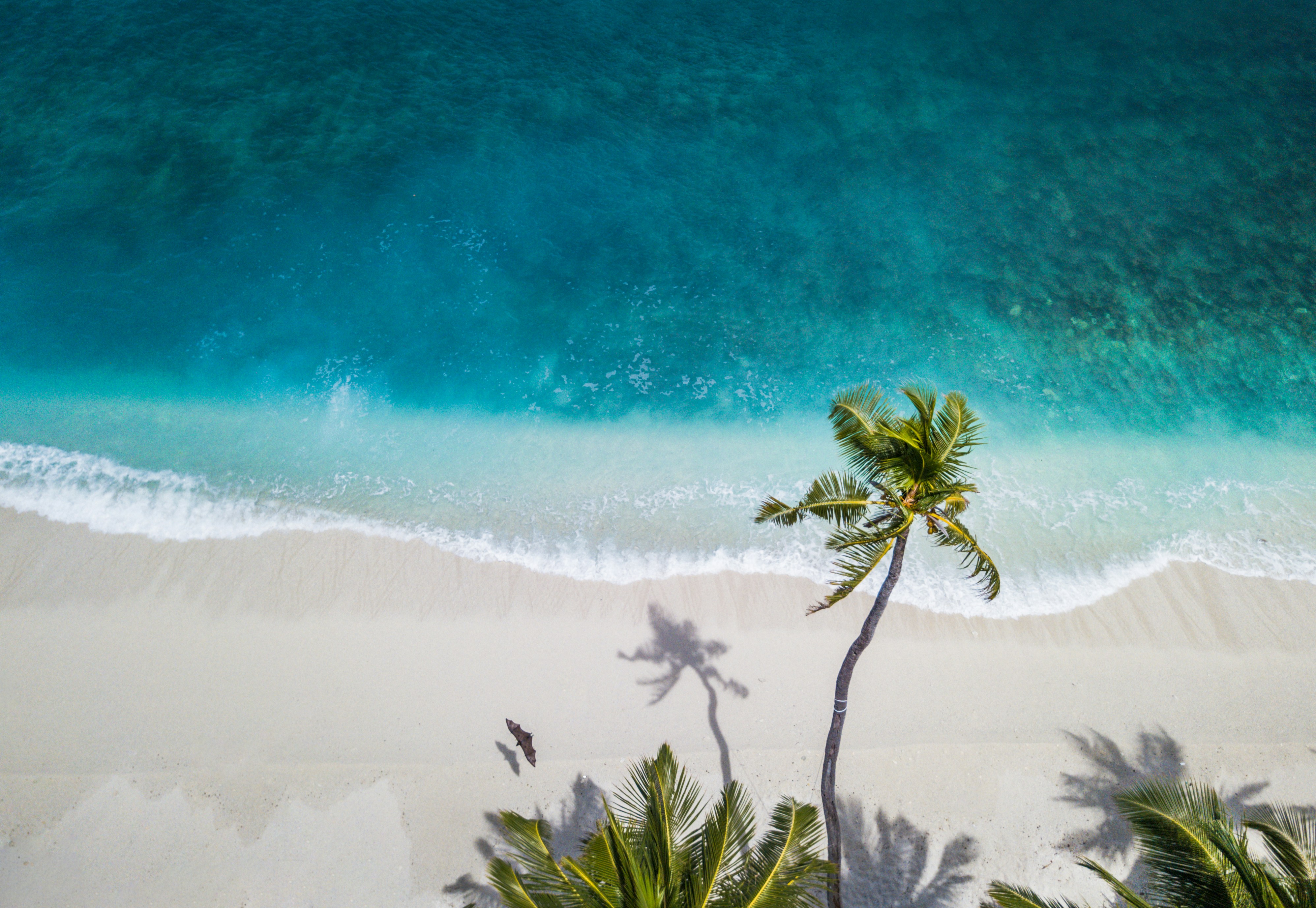 Mirissa Golden Beach Coastline